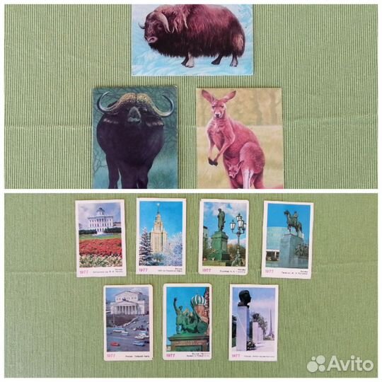 Карманные календари Москва + Фауна