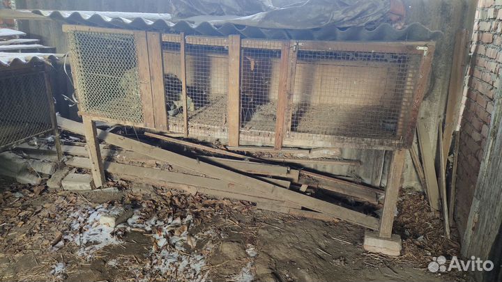 Клетки для кроликов