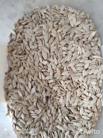 Семена огурцов