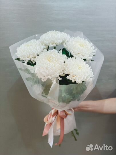 Хризантемы