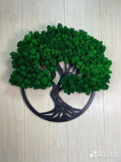 Готовые долговечные панели из мха для декора стен