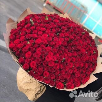 51 роза 101 роза 55 85 65 35 25 21 Букет Доставка