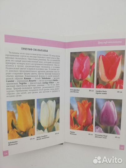 Книги Цветы для дачи, секреты молодости