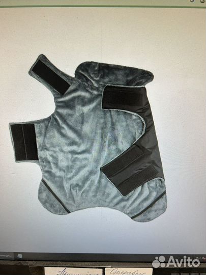 Одежда для средних собак