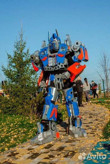 Аниматоры, Трансформеры, Роботы