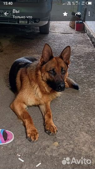 Кабель. Вязка