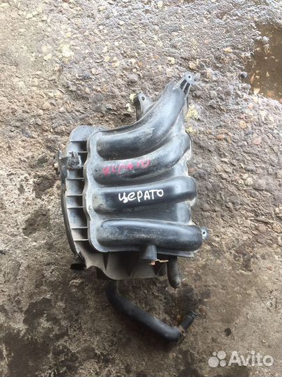 Коллектор впускной Церато 9-12 год