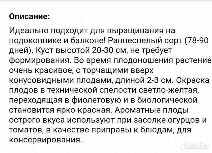 Перец острый на окошке