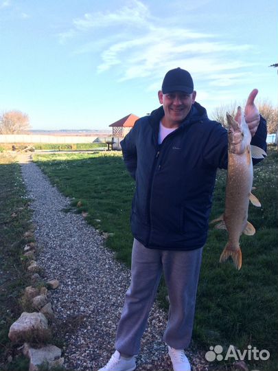 Рыбалка форель, карп, щука