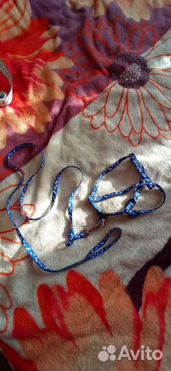 Шлейка для собак