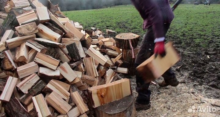 Дрова с Приморска