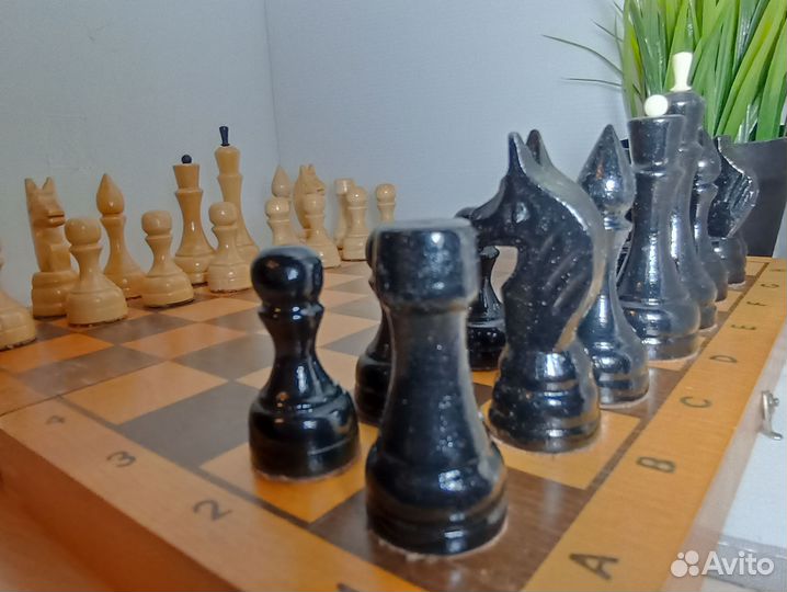 Шахматы СССР 1980