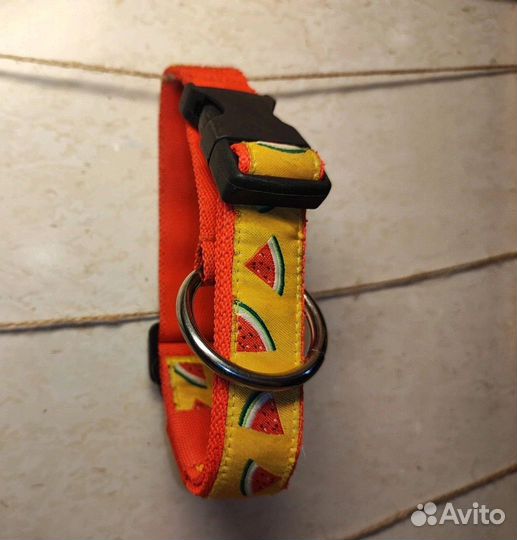 Амуниция для собак