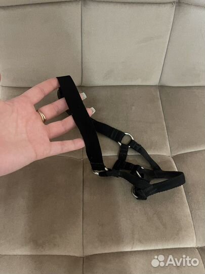 Халти для собак