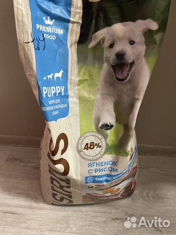 Корм для собак