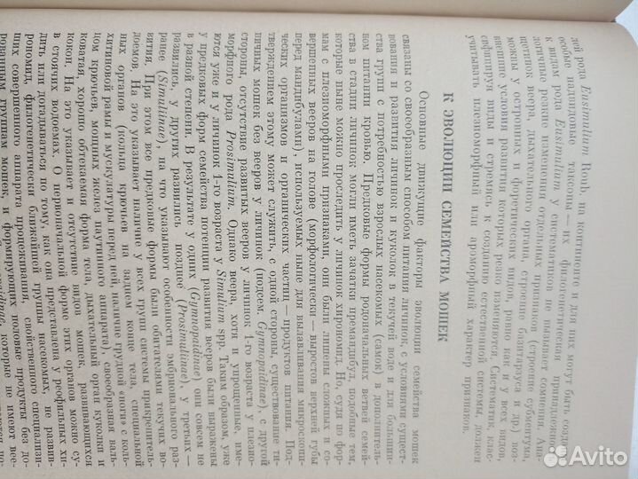 Теоретические вопросы систематики и филогении 1974