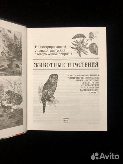 Иллюстрированный словарь Животные и растения