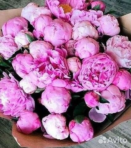 Пионы Цветы Доставка