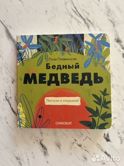 Бедный медведь новая