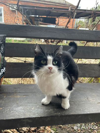 После смерти бабушки ее выгнали