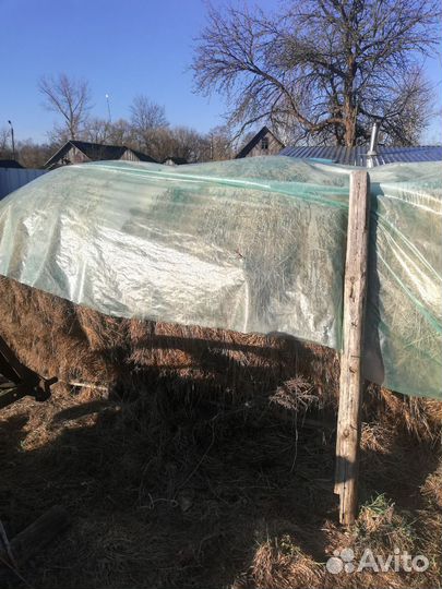 Продам сено в рулонах