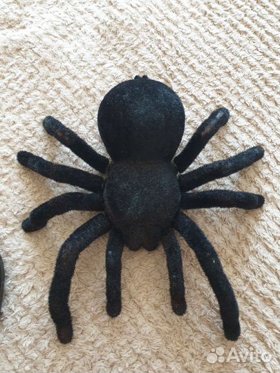 Паук тарантул на радиоуправлении