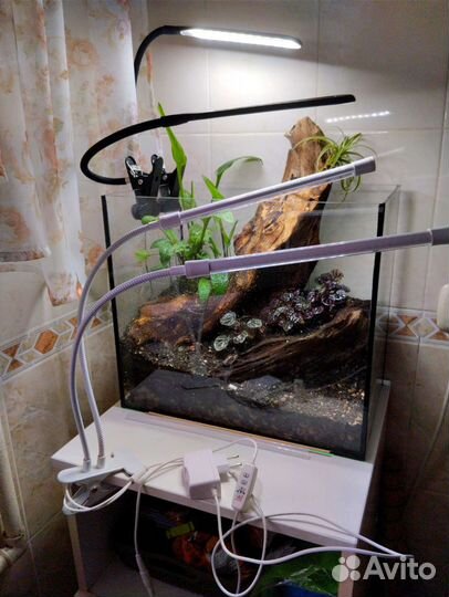 Фитолампа для растений