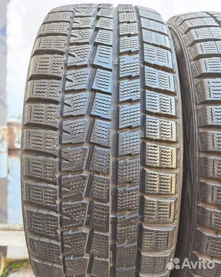 Dunlop Winter Maxx WM01 205/45 R17 101V