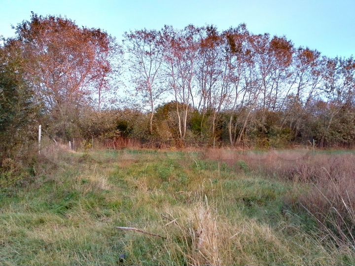 Участок 30 сот. (ИЖС)