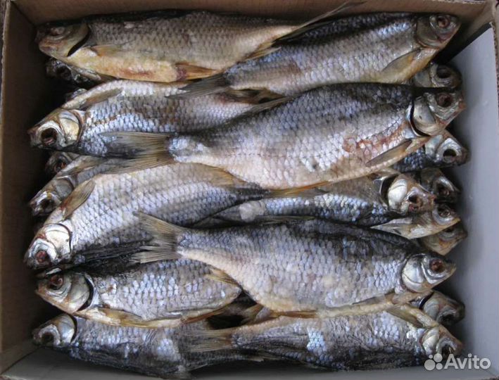 Рыба сушеная(вяленая) свежак