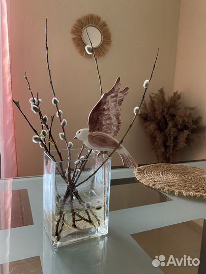 Декоративные птицы