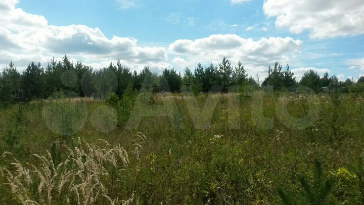 Участок 12 сот. (СНТ, ДНП)