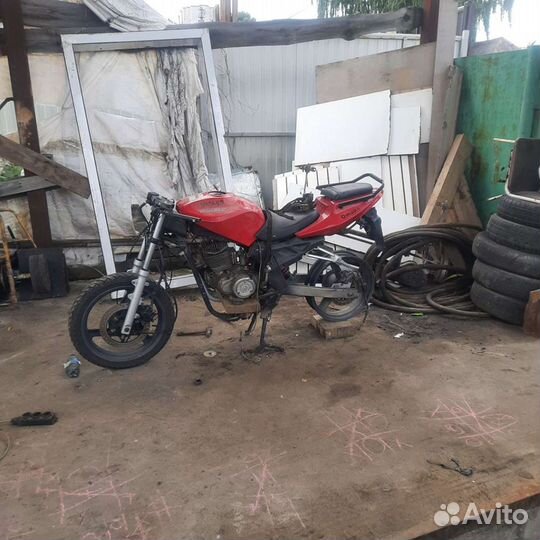 Omaks 250