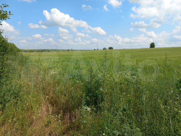 Участок 20 сот. (ИЖС)