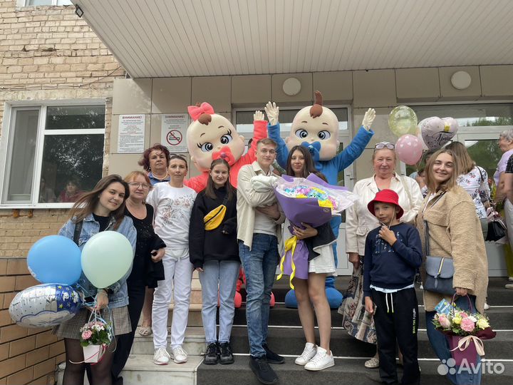 «Ваши Пупсы» Экспресс поздравление/Гендер пати