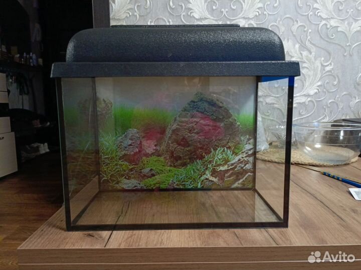 Аквариум 15л со всем необходимым
