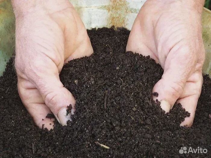 Чернозем торф плодородная земля
