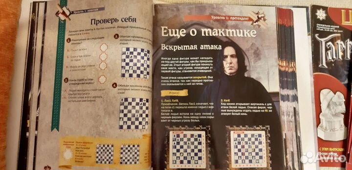 Журналы шахматы Гарри Поттер