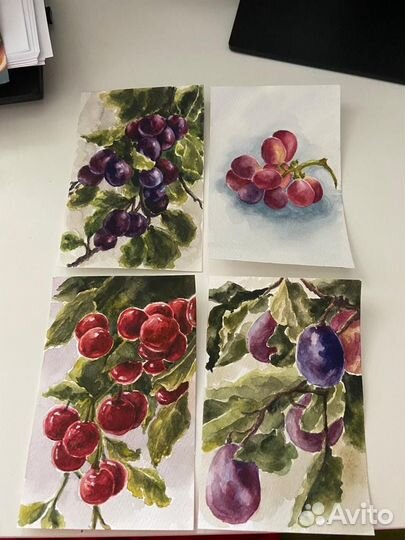 Акварельные картины. Ботанические иллюстрации