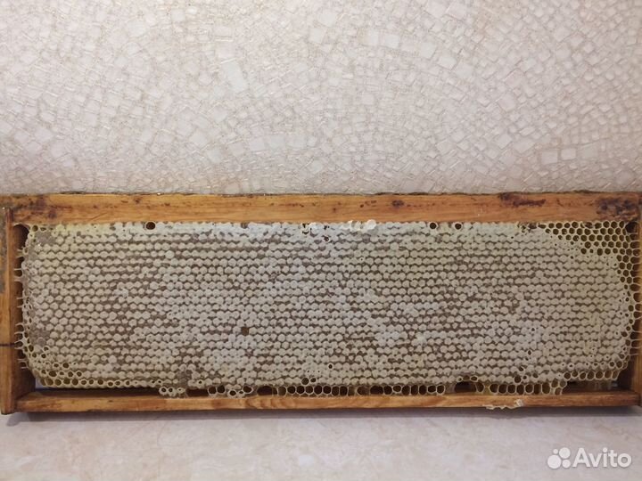 Мёд / Мед разнотравье, цветочный