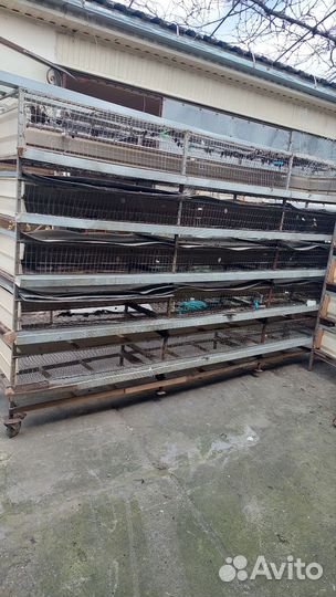 Сетки для птиц и перепелов