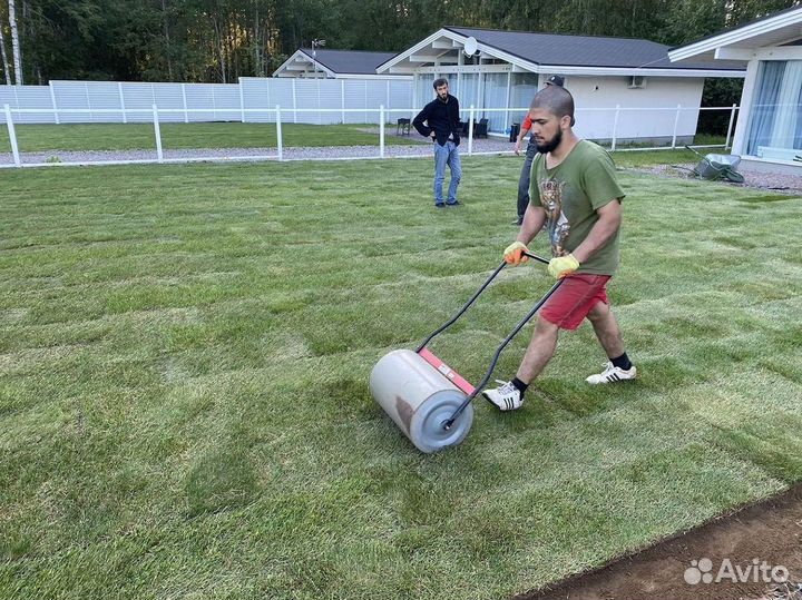 Отличный газон спортивный