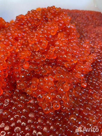 Икра красная чавычи,кеты, кижуча, горбуши