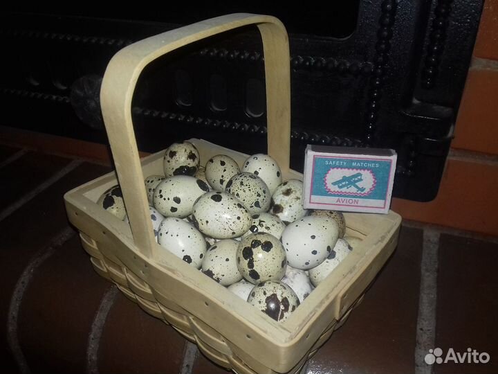 Домашние перепелиные яйца