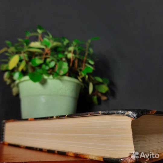 Большая кулинарная книга