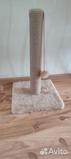 Когтеточка