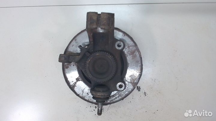 Ступица (кулак, цапфа) Ford Transit, 2007