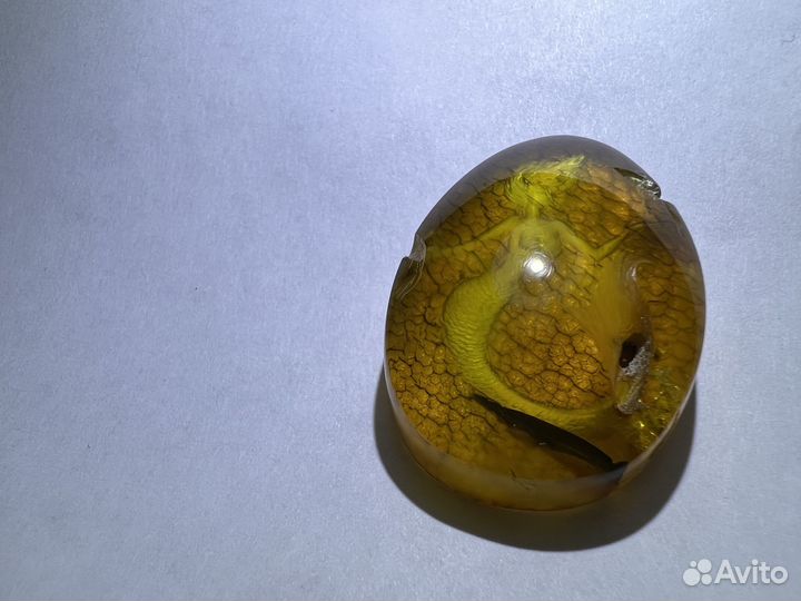 Инталия образа русалки из балтийского янтаря