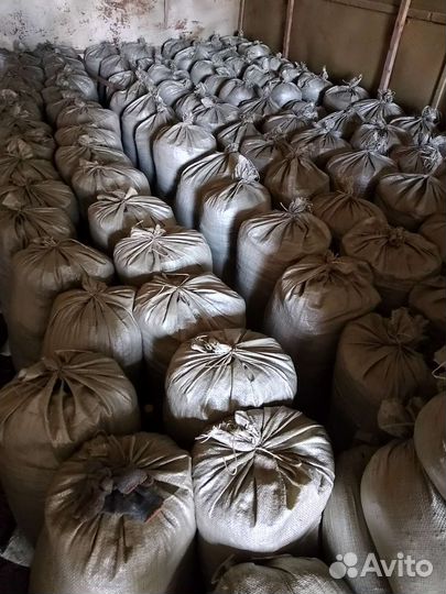 Перигной Конский