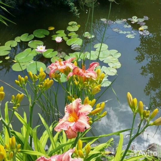 Отдых и рыбалка в Астрахани